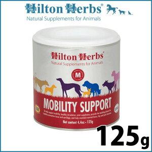 yGg[Ń|Cg+2{I{Izqgn[u reB T|[g 125g Tvg n[u ֐߂̃T|[g 