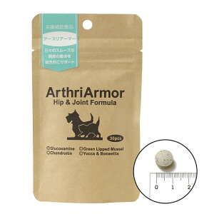 yő2000~OFFN[||Cg+5{zlC`[xbg Tvg A[XA[}[ 30ipj֐ߗp ORT~ RhC` ΃CL