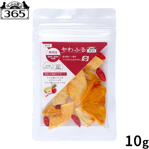 yGg[Ń|Cg+1{I{Izybǧb365 ӂ NR̎GLX SpCibvXCXJbg p 10g @\ Y Y