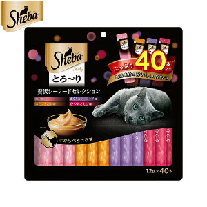 yX|Cgő42{I111IzV[o Lp Ƃ` eB ґV[t[hZNV 12g×40{ }[XWp Lbgg[c