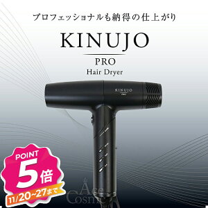 yubNtCf[zKINUJO Pro Hair Dryer  v wAhC[