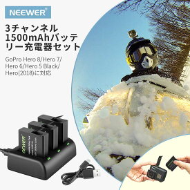 楽天市場 Gopro 8 充電器の通販