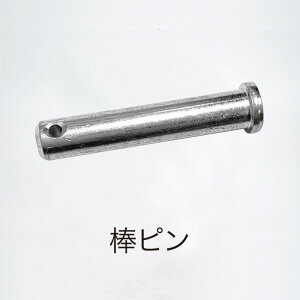�y���[�J�[�����zT42-PARTS-016_�_�s��10����yNEGIBITO PARTS�z�y�l�M�Q�d�i��ʌ��[�J�s�j�z�y�����ʁz