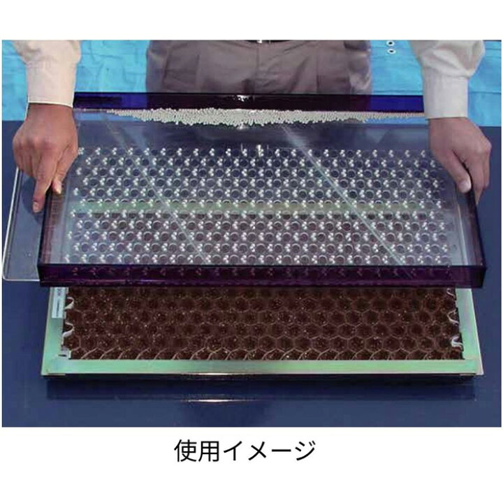 楽天市場】【メーカー直送】ポットシーダーCP300LL 2.5粒播用【ネギ 