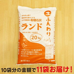 y12/25܂10܍wŁ{1zh 20kg×11܁y4tԂꏊwK{zylMQdiʌ[Jsjz