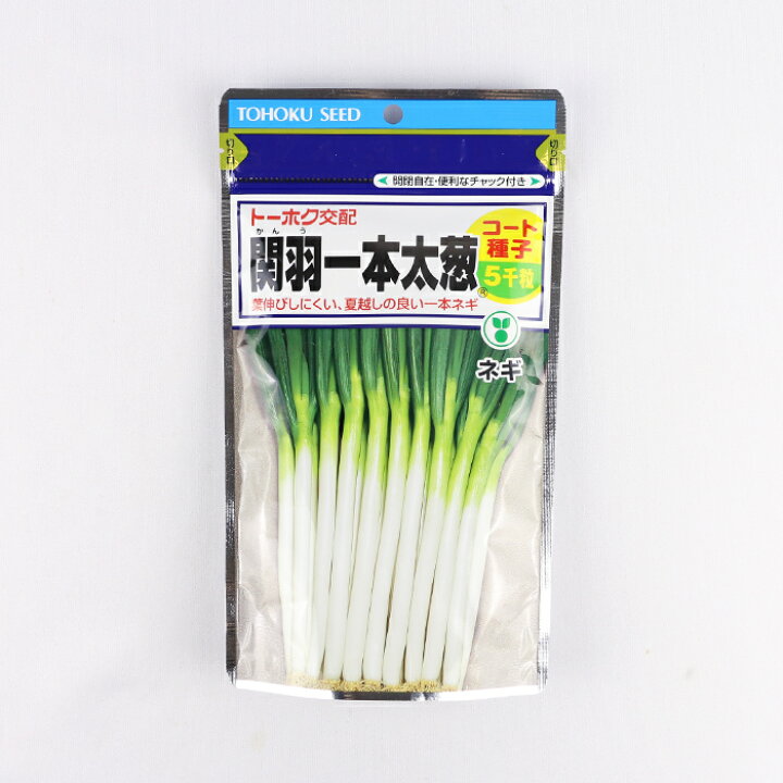 楽天市場】【取り寄せ】関羽一本太葱 コート5000粒 トーホク種苗 
