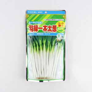 HΈ{K R[g5000g[zNc ylMQdiʌ[Jsjzyz