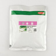 【6/30まで特価】春扇【サカタのタネ】 コート6000粒【ネギ参謀（埼玉県深谷市）】【送料無料】