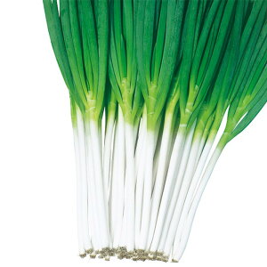 y[J[zgycz 20mlylMQdiʌ[Jsjz