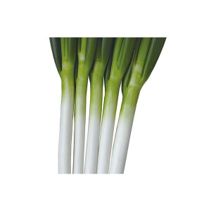 y[J[zPylA؁z R[g6000ylMQdiʌ[Jsjz