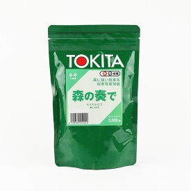 森の奏で（TSX-515） ネギ コート5000粒 トキタ種苗【ネギ参謀（埼玉県深谷市）】【送料無料】