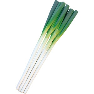 y[J[zn̋ygL^cz R[g5000ylMQdiʌ[Jsjz