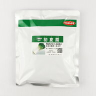 【メーカー直送】初夏扇【サカタのタネ】 コート6000粒【ネギ参謀（埼玉県深谷市）】【送料無料】