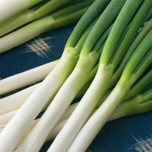 y[J[zꕶ(TNE-765) y^LCcz R[g5000ylMQdiʌ[Jsjz