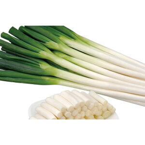 y[J[z\ԁylA؁z R[g6000ylMQdiʌ[Jsjz