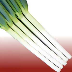 y[J[zz̏jygL^cz R[g5000ylMQdiʌ[Jsjz