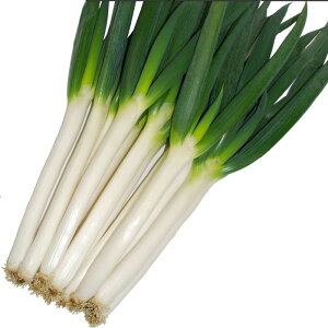 y[J[z珫RynӔ_z 20mlylMQdiʌ[Jsjz