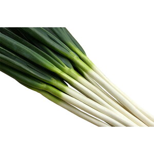 y[J[ẑ݂ylA؁z R[g6000ylMQdiʌ[Jsjz