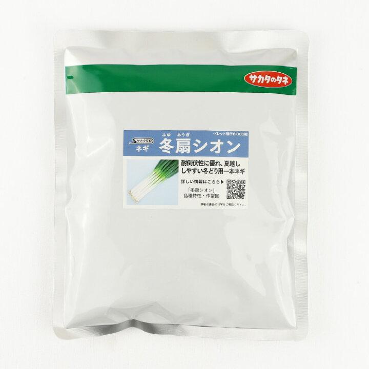 楽天市場】【メーカー直送】冬扇シオン【サカタのタネ】 コート6000粒 