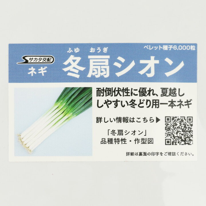 楽天市場】【メーカー直送】冬扇シオン【サカタのタネ】 コート6000粒 