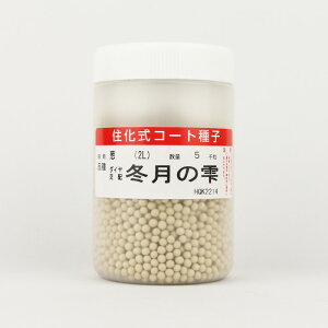 ~̎ iTSX-795j R[g5000 gL^cylMQdiʌ[Jsjzyz