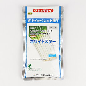 【メーカー直送】ホワイトスター ネギ2L コート5000粒 タキイ種苗【ネギ参謀（埼玉県深谷市）】【送料無料】