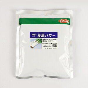 y[J[zĐp[ lM R[g6000 TJ^̃^lylMQdiʌ[Jsjzyz