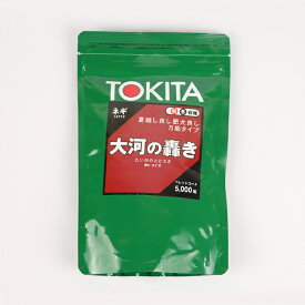 【2/28まで通常より5%引き】大河の轟き ネギ コート5000粒 トキタ種苗【ネギ参謀（埼玉県深谷市）】【送料無料】