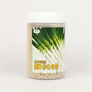 Ђ2 lM R[g6000 lA؁ylMQdiʌ[Jsjzyz