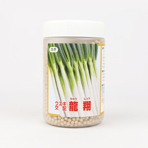  R[g6000 lA؁ylMQdiʌ[Jsjzyz