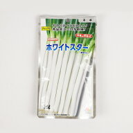 【メーカー直送】ホワイトスター ネギ 1dl タキイ種苗【ネギ参謀（埼玉県深谷市）】【送料無料】