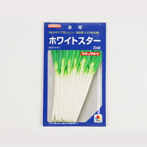 【メーカー直送】ホワイトスター ネギ 20ml タキイ種苗【ネギ参謀(埼玉県深谷市)】【送料無料】