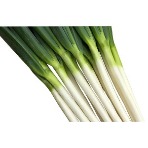 y[J[ẑڂ 1dl lA ylMQdiʌ[Jsjzyz