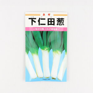 y[J[zmcK yJlRcz 20mlylMQdiʌ[Jsjz