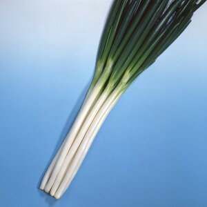 y[J[zc yJlRcz 2dlylMQdiʌ[Jsjz