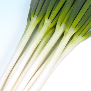 y[J[zĂ̕R@R[g6000 B݂ǁylMQdiʌ[Jsjzyz