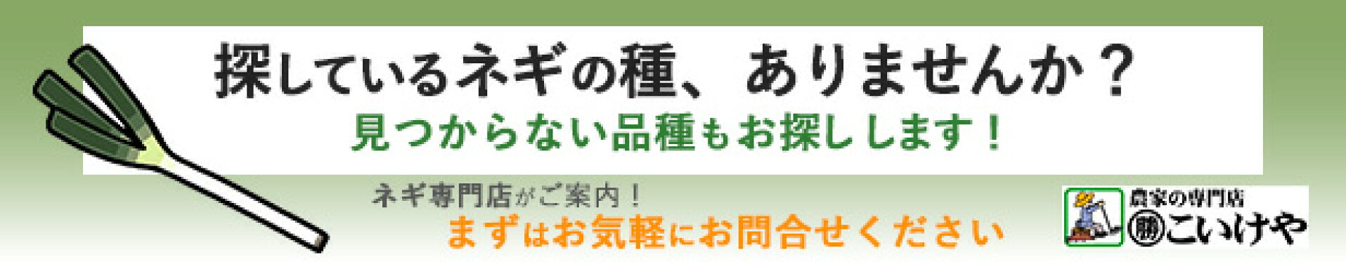 ネギ種フォームはこちら