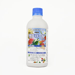 Tv[ 500mlylMQdiʌ[Jsjzyz