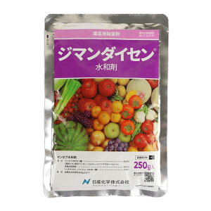 W}_CZa 250gylMQdiʌ[Jsjz