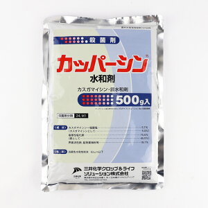 Jbp[Va 500gylMQdiʌ[Jsjz