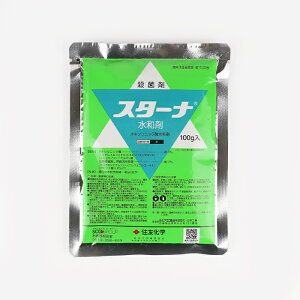 X^[ia 100gylMQdiʌ[Jsjz