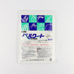 xN[ga 100gylMQdiʌ[Jsjz