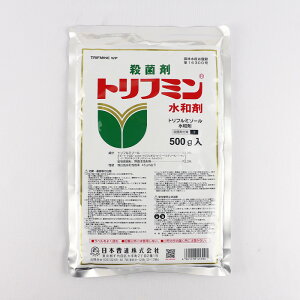 gt~a 500gylMQdiʌ[Jsjzyz