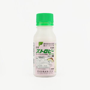 Xgr[tAu 100mlylMQdiʌ[Jsjz