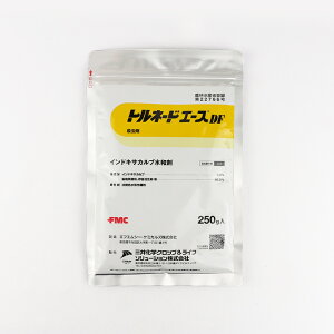 gl[hG[XDF 250gylMQdiʌ[Jsjzyz