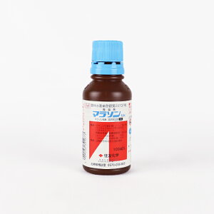 }\ 100mlylMQdiʌ[Jsjz