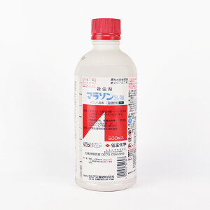 }\ 500mlylMQdiʌ[Jsjz