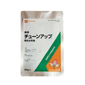 y񂹁z`[Abva 100gylMQdiʌ[Jsjz