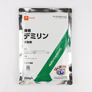 f~a 250gylMQdiʌ[Jsjz