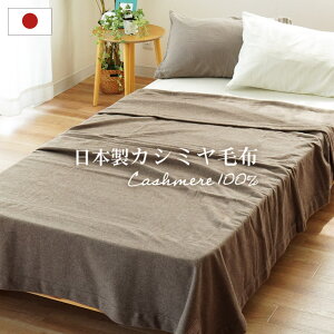 _̍^Iv[g^ JV~ѕz uPbg VO 150×210cm n { JV~100 Y Ci[uPbg Ci[Pbg іѕz